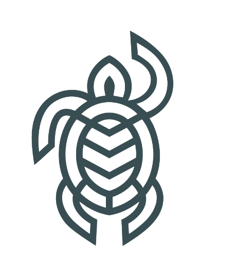 The TORTIS tortoise mark